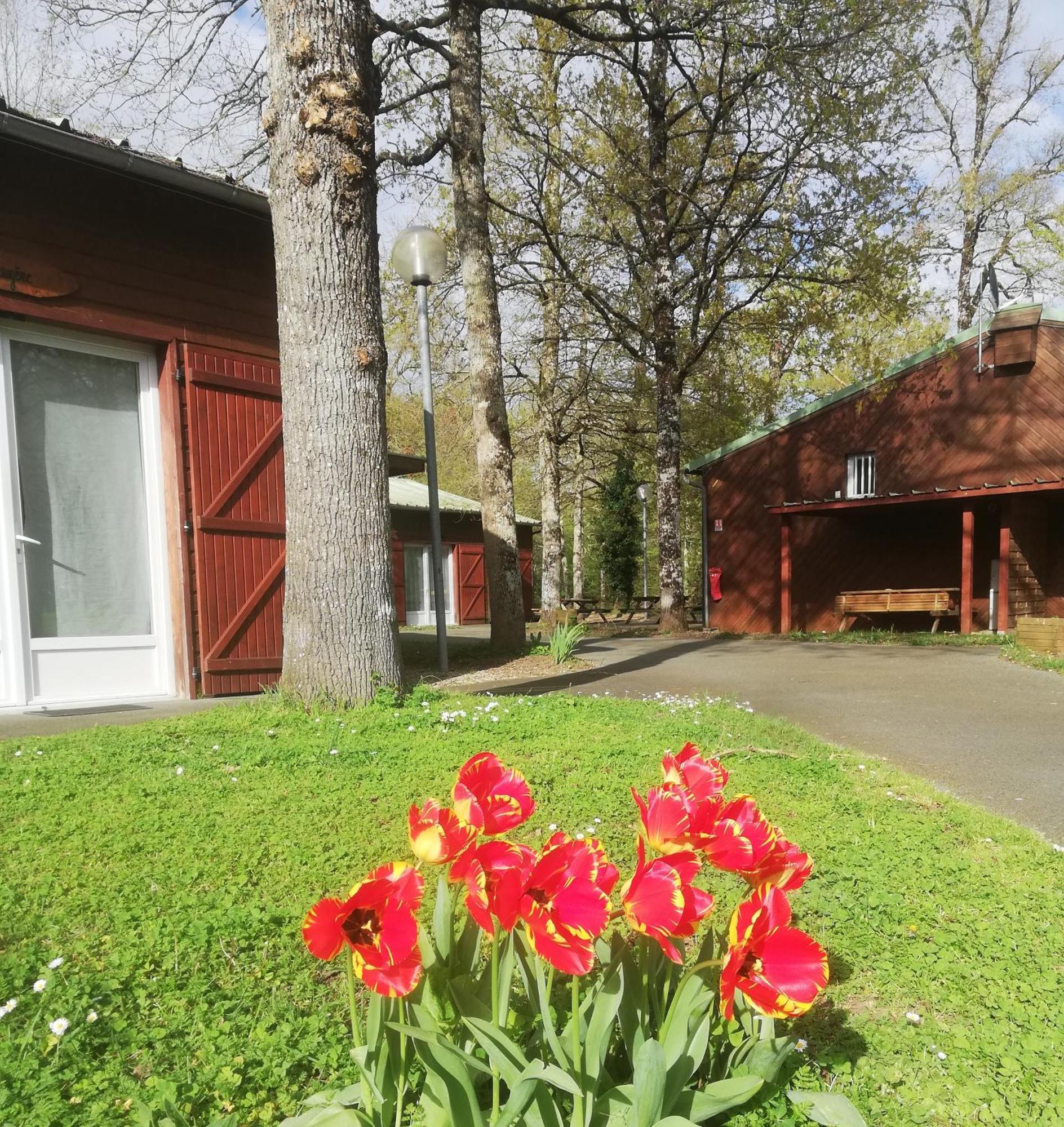 Chalets Mouliere Evasion Montamise Экстерьер фото